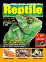 Practical Reptile Keeping